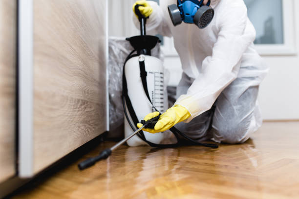 Best Termite Control Services  in Mulberry, OH