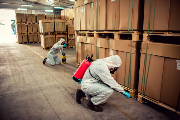 Best Emergency Pest Control  in Mulberry, OH