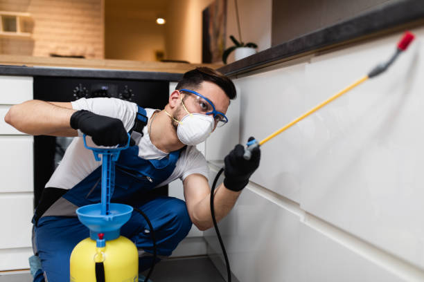 Trusted Mulberry, OH Pest Control Experts