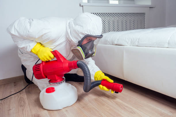 Best Affordable Pest Control Services  in Mulberry, OH