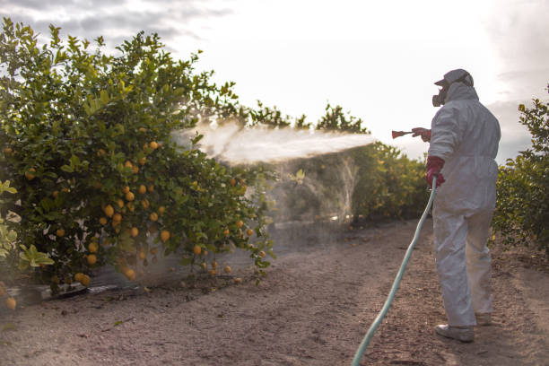 Best Local Pest Control Services  in Mulberry, OH