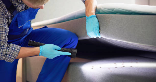 Best Pest Control Near Me  in Mulberry, OH
