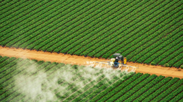 Best Best Pest Control Companies  in Mulberry, OH