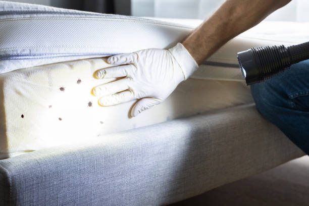 Best Exterminator Services  in Mulberry, OH